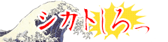 �V�J�g�����!